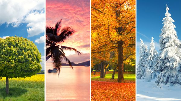 کلاژ چهار فصل چندین تصویر از مناظر طبیعی زیبا در زمان های مختلف سال - زمستان بهار تابستان پاییز مفهوم چرخه زندگی سیاره زمین