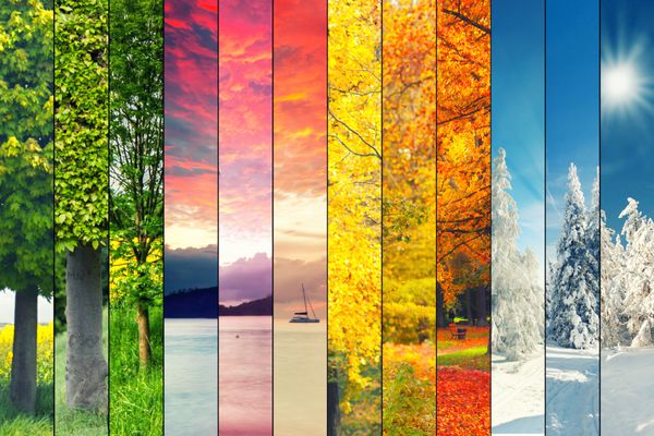 کلاژ چهار فصل چندین تصویر از مناظر طبیعی زیبا در زمان های مختلف سال آب و هوای پاییز زمستان بهار و تابستان مفهوم چرخه زندگی سیاره زمین