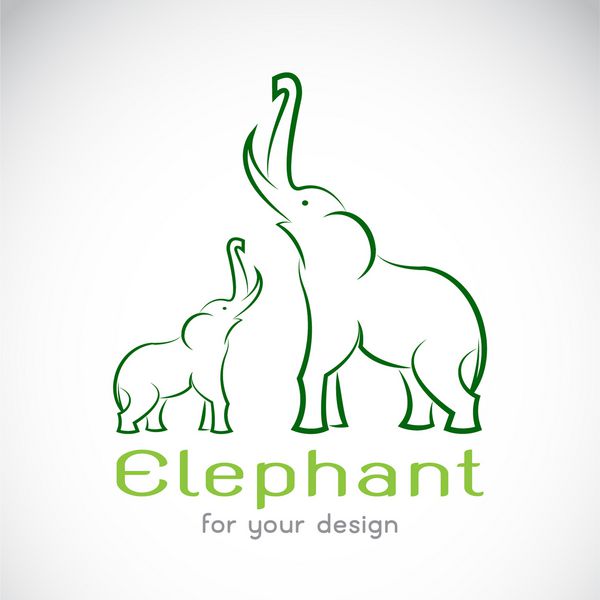 وکتور طرح فیل در زمینه سفید وکتور فیل برای طرح شما