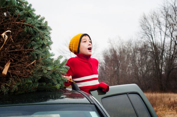 پسر جوان با درخت کریسمس روی سقف ماشین