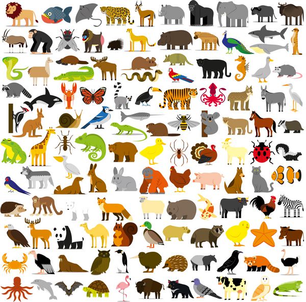 مجموعه وکتور از حیوانات مختلف کارتونی جدا شده
