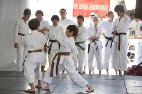 لس آنجلس - 5 آوریل رایان و ونس زیر نظر سنسی کاگیاما باشگاه کاراته مونتری پارک در جشنواره شکوفه های گیلاس توکیو کوچک در 5 آوریل 2009 در لس آنجلس دفاع شخصی را به نمایش گذاشتند