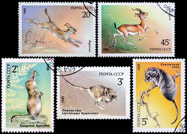ussr - حدود 1985 تمبرهای چاپ شده در ussr حیوانات مختلف از سری حیات وحش در خطر انقراض را نشان می دهد حدود 1985
