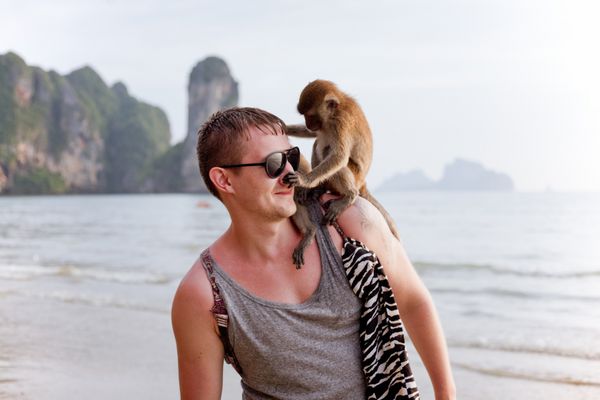 مرد جوان با میمون بامزه که روی شانه اش نشسته و بینی خود را لمس می کند کشور گرمسیری