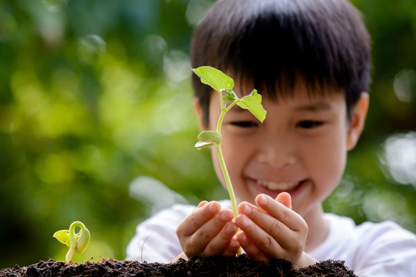 فوکوس نازک روی دست کودکی که گیاه نهال جوان را در دست در پس زمینه سبز برای کاشت روی خاک گرفته است مفهوم روز زمین