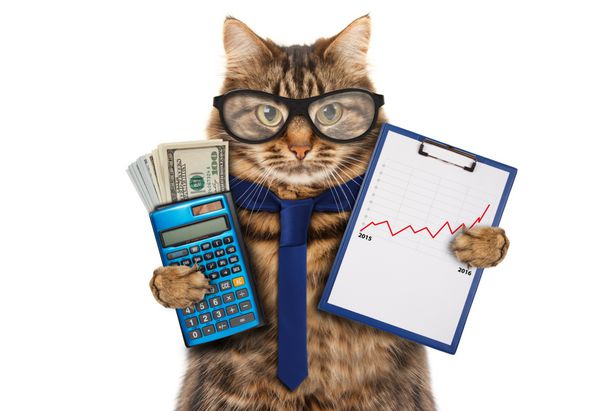 گربه خنده دار با یک پوشه برای ارائه پول در دست صحنه کسب و کار