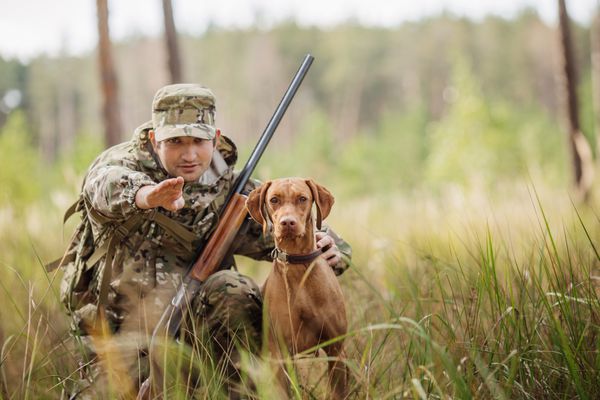 شکارچی جوان با یک سگ در جنگل