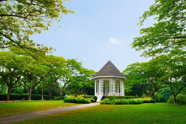 نقطه عطف جایگاه گروه در باغ گیاه شناسی سنگاپور