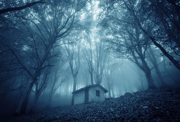 خانه خالی از سکنه متروکه در جنگل جادویی