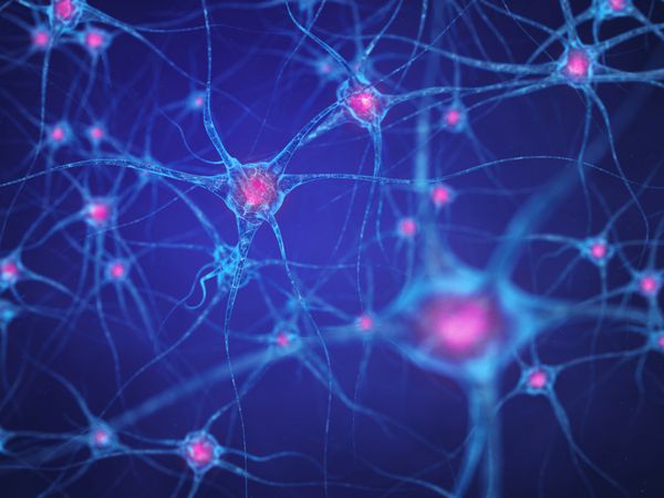 شبکه عصبی سلول های مغز سیستم عصبی انسان نورون ها