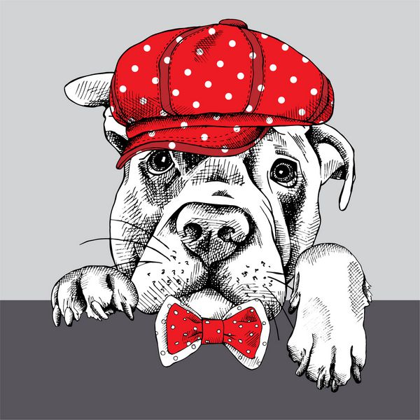 پرتره سگ لابرادور با کلاه قرمز و کراوات وکتور