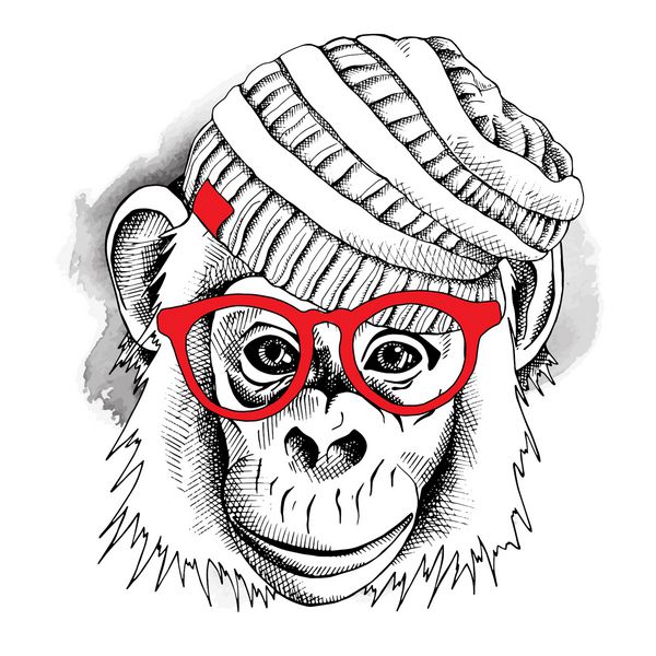 پرتره میمون در کلاه هیپستر بافتنی با عینک قرمز وکتور