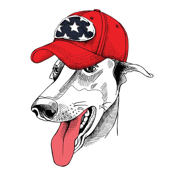 پرتره سگ تازی با کلاه قرمز وکتور