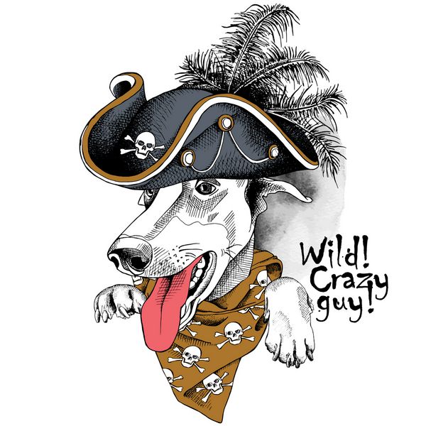 پرتره سگ تازی با کلاه دزدان دریایی و دستمال گردن قهوه ای با تصاویر جمجمه وکتور