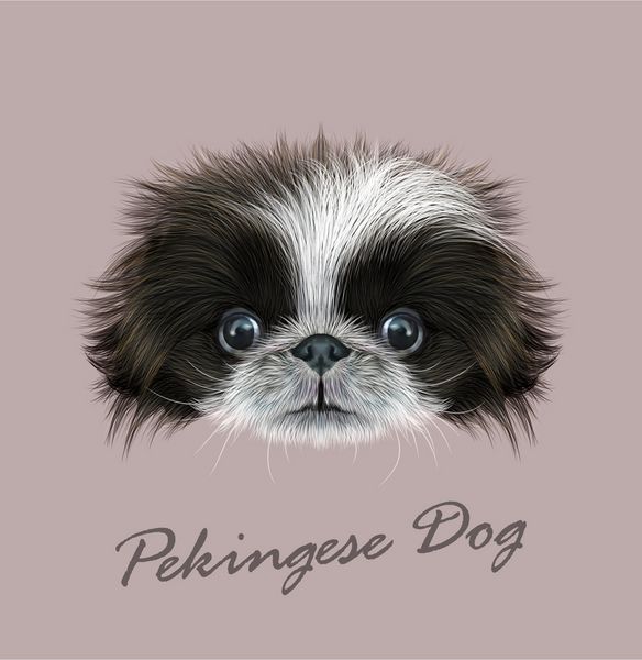 عکس خفن عکس سگ کارتونی بامزه