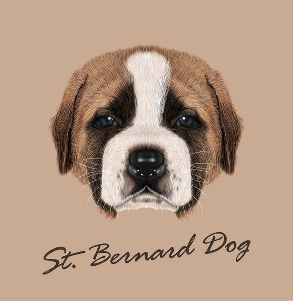 عکس خفن عکس سگ کارتونی بامزه