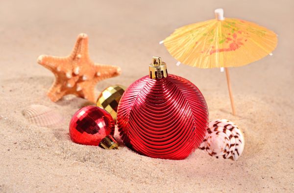 تزئینات کریسمس صدف‌ها و ستاره‌های دریایی روی شن‌های ساحلی