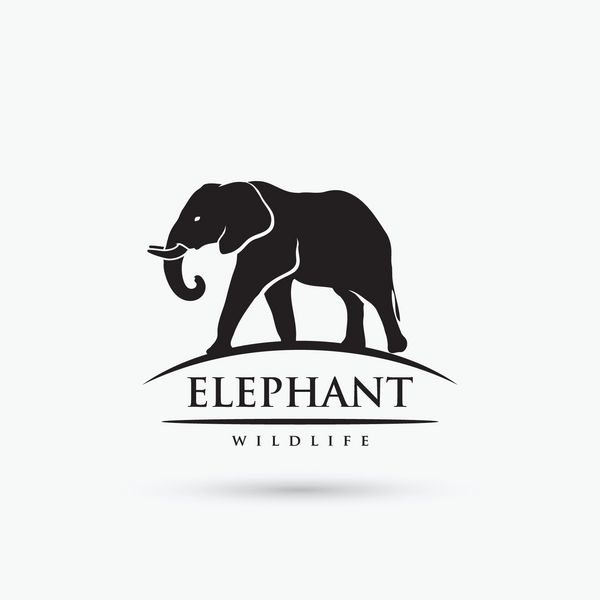 نماد فیل - وکتور