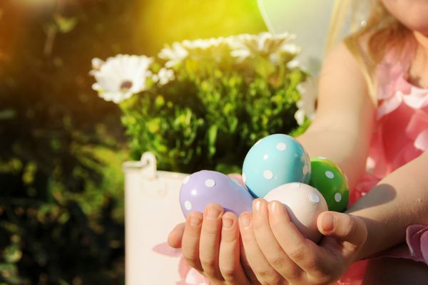 عکس پروفایل دختر با سگ هاسکی