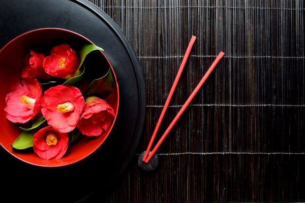 گل آرایی ژاپنی کاملیا ژاپنی با چاپستیک قرمز روی سینی مشکی