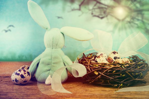 خرگوش عید پاک با تخم بلدرچین در پس زمینه بهار