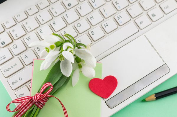 دسته گل برفی عاشقانه روی لپ تاپ