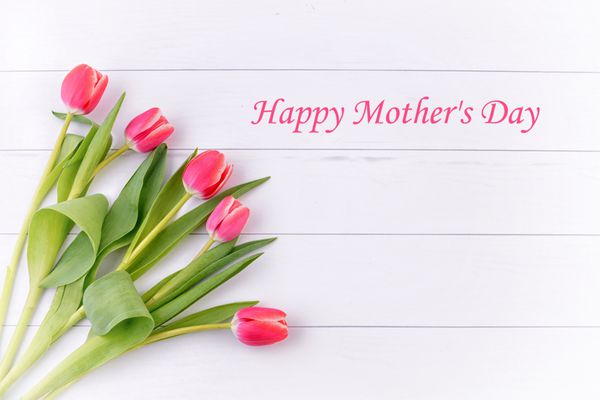 کارت روز مادر با گل لاله لاله های قرمز برای روز مادر پس زمینه روز مادر و گل روز مادر هدیه روز مادر