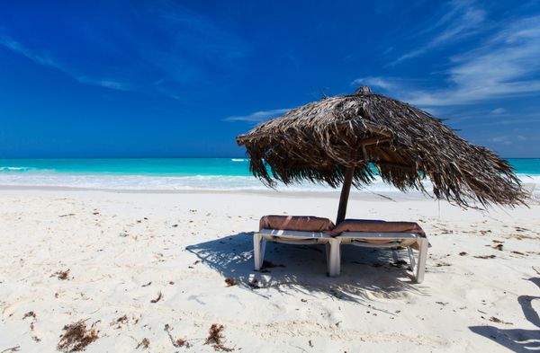 چتر کاهگلی استوایی در ساحل زیبای کارائیب
