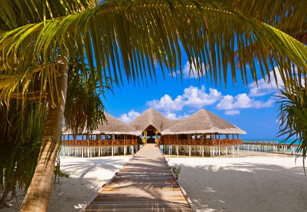 کافه در جزیره گرمسیری مالدیو - پس زمینه سفر در طبیعت