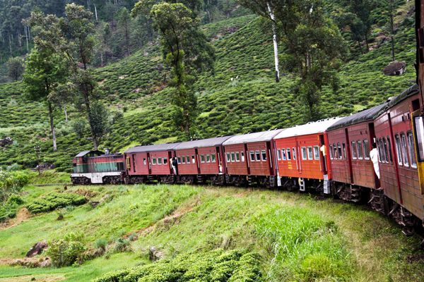 سواری با قطار در مسیر کوهستانی خوش منظره از نووارلیا تا کلمبو