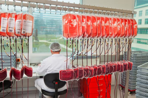 یک زن در آزمایشگاه مطالعه کرد خون اهدا شد بهداشت و رفاه