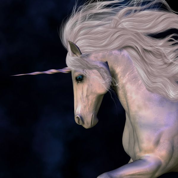 اسب نر - شاخ اسب شاخ سفید باک درخشش صورتی زیبایی دارد