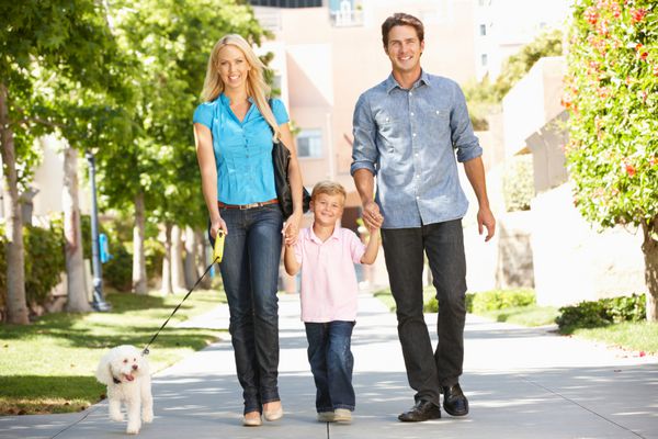 قدم زدن خانواده با سگ در خیابان شهر