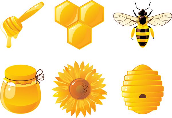 6 آیکون زنبور و عسل