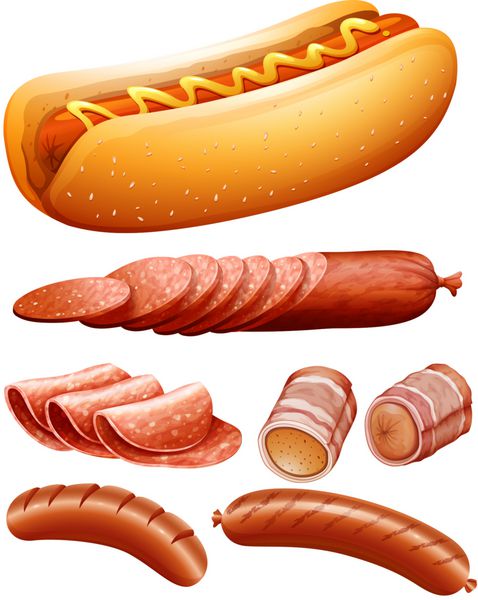 انواع مختلف گوشت و سگ