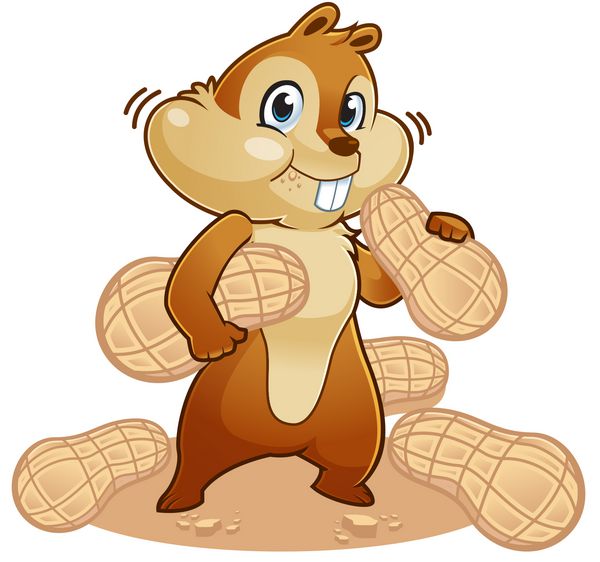 تصویر یک سنجاب در حال خوردن آجیل