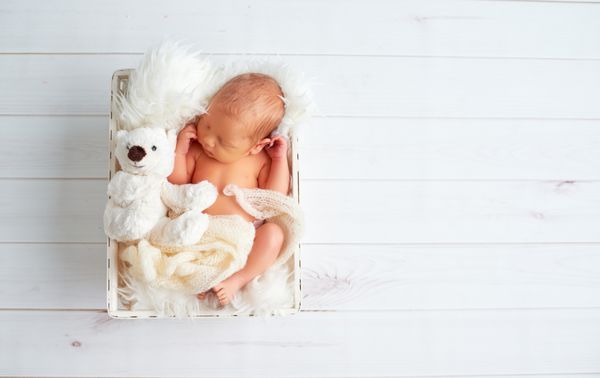 نوزاد ناز با خرس عروسکی اسباب بازی در سبد می خوابد