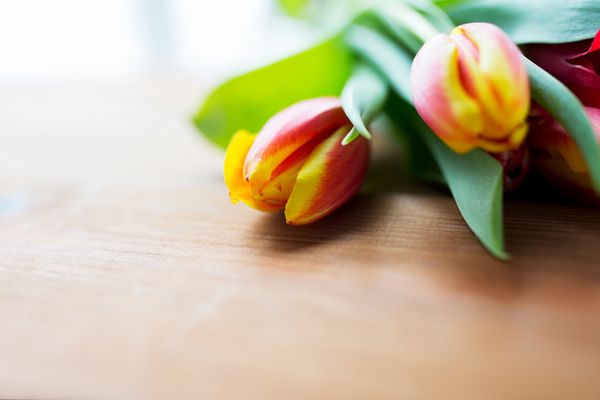نمای نزدیک از گل های لاله روی میز چوبی