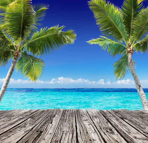 منظره گرمسیری با تخته چوبی و درختان نخل در اقیانوس فیروزه ای - پس زمینه تعطیلات تابستانی