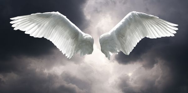 بال های فرشته با پس زمینه آسمان طوفانی
