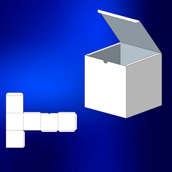 جعبه با قالب قالب جعبه بسته بندی برای غذا هدیه یا سایر محصولات در پس زمینه سفید جدا شده است آماده برای طراحی شما وکتور بسته بندی محصول