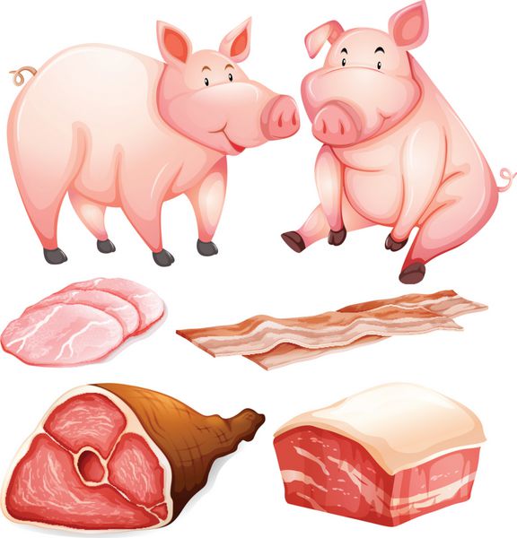 خوک و محصولات خوک