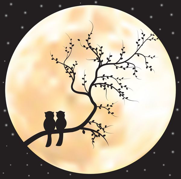 وکتور تصویر ماه کامل با ستاره ها و درختان