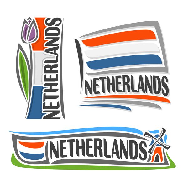 وکتور از آرم هلند متشکل از 3 تصویر جدا شده تصویر پرچم عمودی با گل لاله بنفش نماد افقی هلند و پرچم در پس زمینه آسیاب بادی