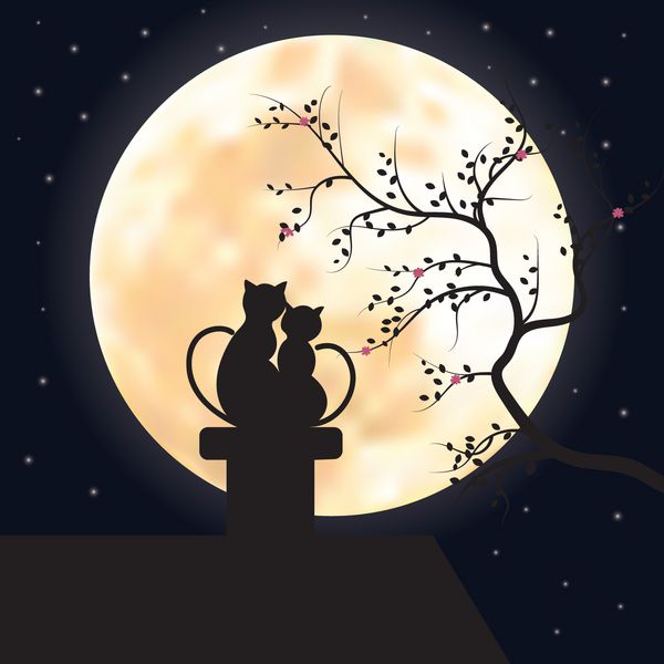 تصاویر وکتور دو گربه روی پشت بام که به ماه نگاه می کنند