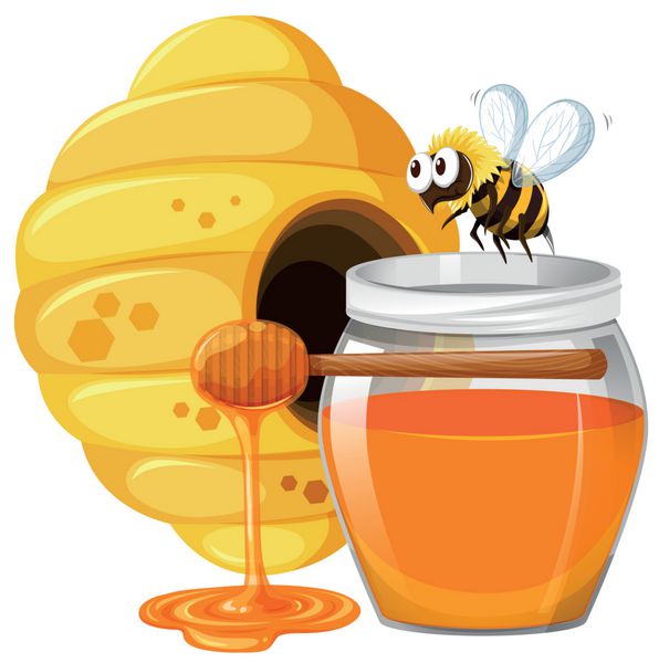 زنبور و عسل در شیشه