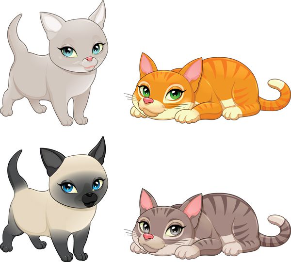 گروهی از گربه های زیبا با رنگ های مختلف