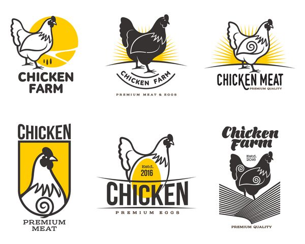 مجموعه لوگو با مرغ تصاویر وکتور جدا شده در پس زمینه سفید با آرم های مختلف مرغ و زرد آرم های ساده در مورد مرغ گوشت و تخم مرغ تولید گوشت مرغ