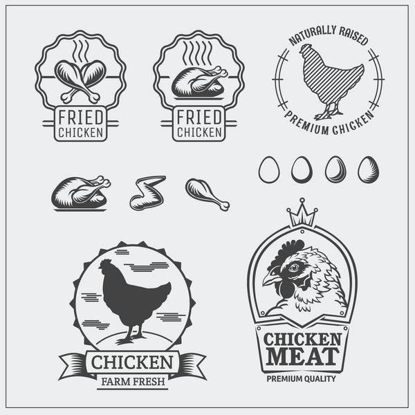 مجموعه ای از برچسب ها نمادها و عناصر طراحی مرغ
