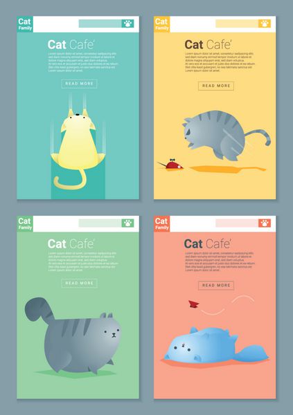 بنر حیوانات با داستان گربه برای طراحی وب وکتور تصویر